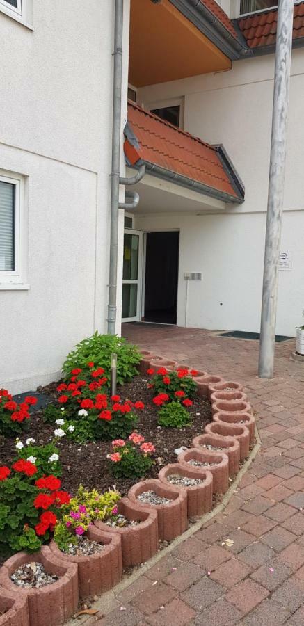 Ferienwohnung Schoenfeld Auf Fehmarn Petersdorf auf Fehmarn Exterior foto